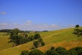 Green field and farm landscape Victoria, Australia Royalty Free Stock Photo