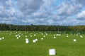 Green field filled with white ensilage spools Royalty Free Stock Photo