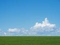 A green field and a flat horizon over which are white cumulus clouds against