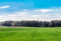 Green field, forest on the horizon and white clouds on blue sky Royalty Free Stock Photo