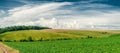 Green field with forest on the horizon. White clouds over the ground. Summer day, panorama Royalty Free Stock Photo