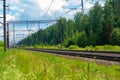 Green field of grass and flowers next to the railway