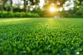 Green field grass lawn beautiful garden summer sunlight nature beauty yard cottage outdoors trees spring field Royalty Free Stock Photo