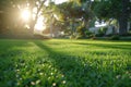 Green field grass lawn beautiful garden summer sunlight nature beauty yard cottage outdoors trees spring field Royalty Free Stock Photo