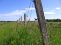 Green field with grass surrounded by concrete pillars old barbed wire fence dangerous territory