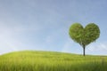 Green field with heart shape tree under blue sky. Beauty nature,for good environment