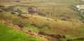 Green field on hill at dover and large field of plants and cliff Royalty Free Stock Photo