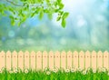 A Green field landscape from backyard with daisy flowers and wooden picket fence Royalty Free Stock Photo