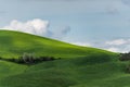 Green field landscape in Toscana Italy