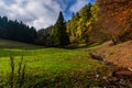 Green field at Langenberg in autumn