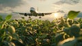 A green field with a large airplane flying through it Royalty Free Stock Photo