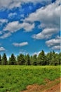 Green field located in Childwold, New York, United States