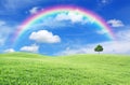 Green field with lone tree and rainbow Royalty Free Stock Photo