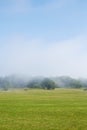 Green field with morning mist