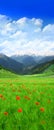 Green field in Mountain Royalty Free Stock Photo