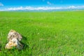 Green field, mountain view, stones in the left corner - beautiful laconic landscape