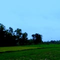 Green field natural scenes picture