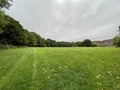 Green grass in front of the residential area. Royalty Free Stock Photo