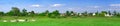 Green field panorama Royalty Free Stock Photo