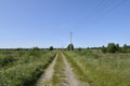 Green field path under blue sky Royalty Free Stock Photo