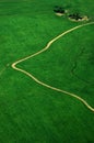 Green Field path walking road