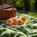 Green field picnic Fabric sheet, basket, croissants, and jam