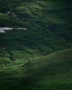 Green field on the plateau. Peaceful meadows