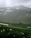 Green field on the plateau. Peaceful meadows