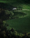 Green field on plateau. Peaceful meadows and trees