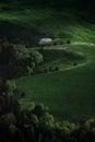 Green field on plateau. Peaceful meadows and trees