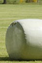 Green field with green roll of ensilage or bale of hay, wrapped in green plastic. In spring sunlight Royalty Free Stock Photo