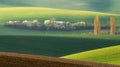 Green Field Rolling Landscape With White Tree.Landscape With White Springtime Flowering Trees On Background Green Hill, Royalty Free Stock Photo