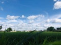 Green field`s with osseous sky and clouds