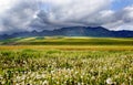 Green grassland, mountains, blue sky and white clouds