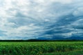 Green field with skyline and dark stormy sky Royalty Free Stock Photo