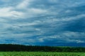 Green field with skyline and dark stormy sky Royalty Free Stock Photo