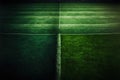 green field in soccer stadium. ready for game in the midfield Royalty Free Stock Photo