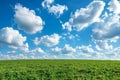 A green field stretches under a clear blue sky with fluffy white clouds, Clear blue skies and fluffy white clouds above a lush Royalty Free Stock Photo