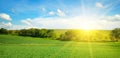 Green field and sun on blue sky with clouds. Wide photo Royalty Free Stock Photo