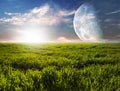 Green field Royalty Free Stock Photo