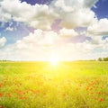 Green field and sunrise on blue sky Royalty Free Stock Photo