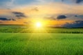 Green field, sunrise and blue sky Royalty Free Stock Photo