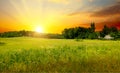 Green field, sunrise and blue sky Royalty Free Stock Photo