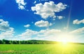 Green field, sunrise and blue sky Royalty Free Stock Photo