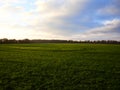 Green field, trees and blue sky above