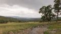 Green field with trees and small stream under a cloudy sky Royalty Free Stock Photo