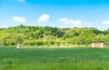 Green field and trees in a sunny summer day with blue bright sky and white clouds Royalty Free Stock Photo