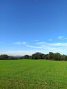 Green field under blue sky in a beautiful sunny day Royalty Free Stock Photo