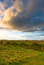 Field under blue sky in Ireland Royalty Free Stock Photo