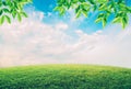 Green field under blue sky with white clouds and leaves. Royalty Free Stock Photo